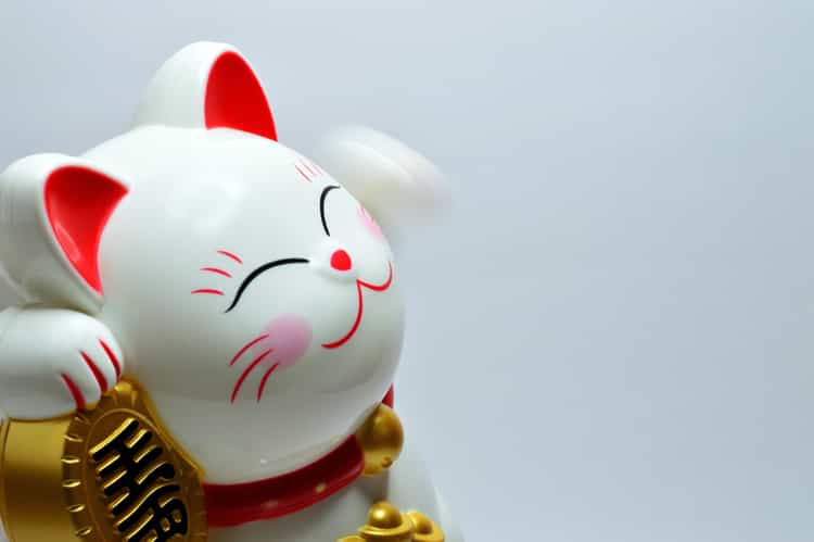 gatinho da sorte
