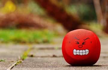 tomate com raiva